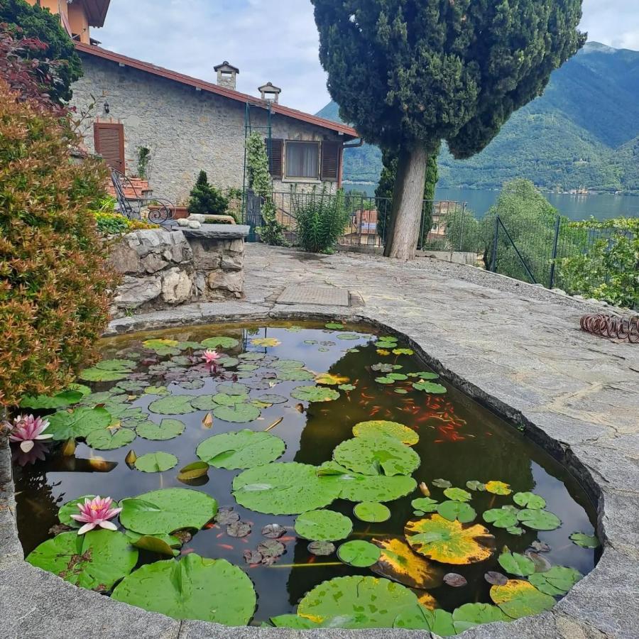 Villa Casamia Juliette Valsolda Esterno foto